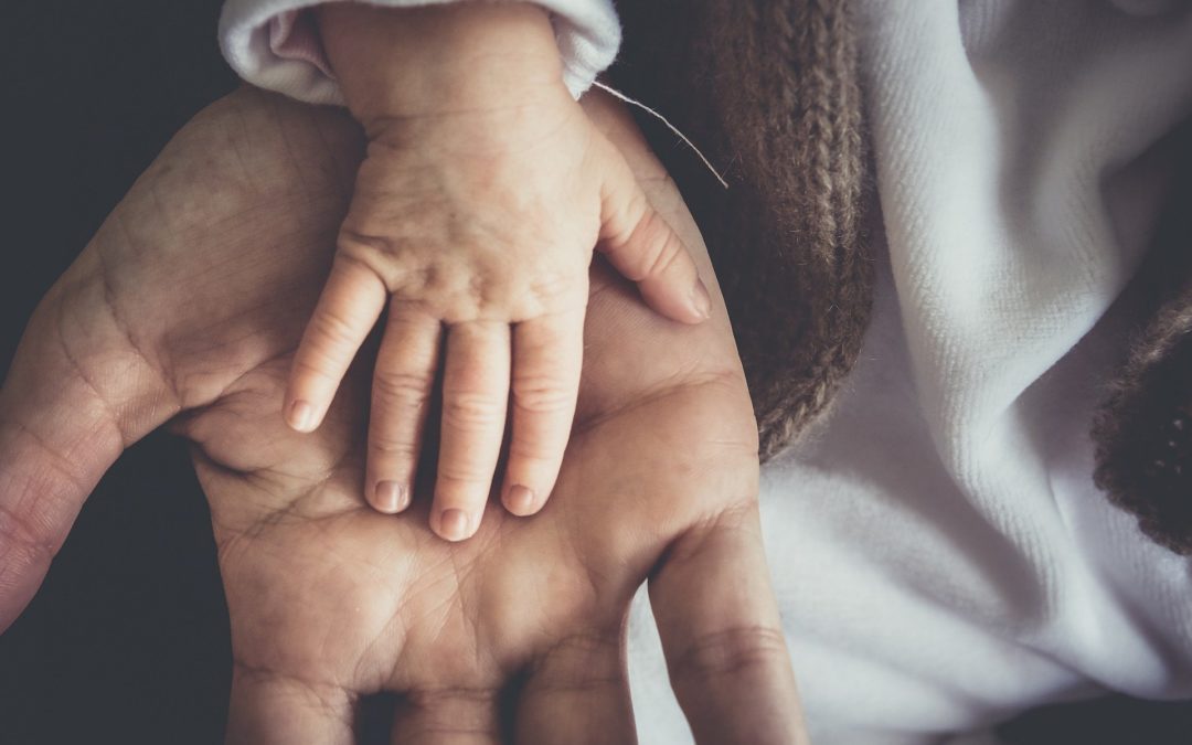 hands and life connection - natural comfort